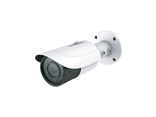 Security Cameras – Daly Export